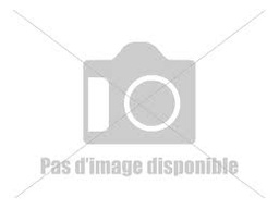 [ATL-36512] Ettore Raclette avec lame en caoutchouc 12''